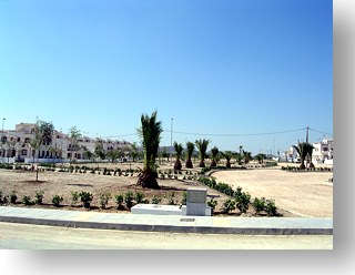 Green Area